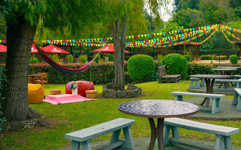 Terraza X