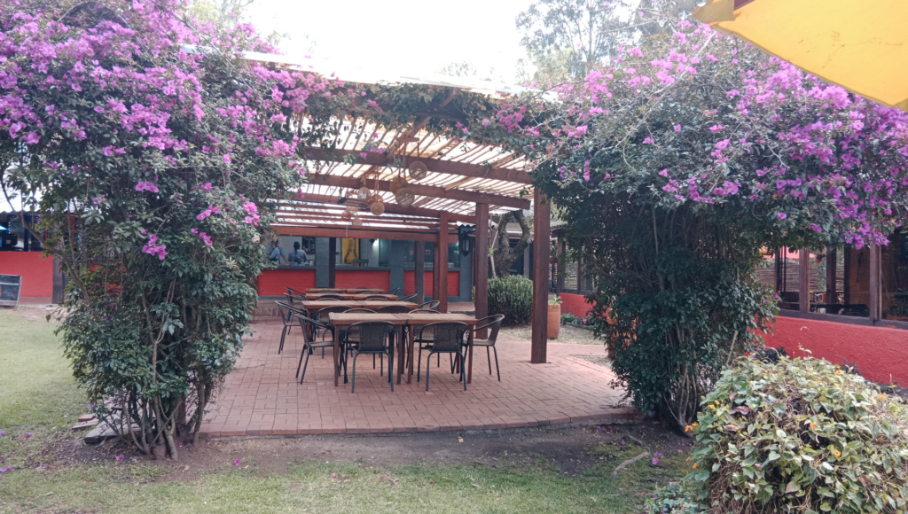 Terraza 2
