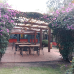 Terraza 2